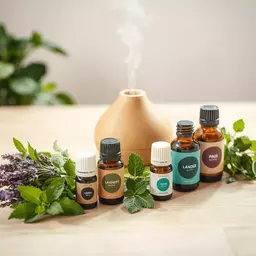exploring the healing properties of essential oils